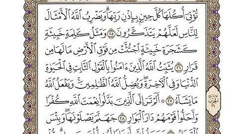سورة إبراهيم بصوت الشيخ وديع اليمني