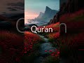 Qur’an | Dil Ko Sukoon Dene Wali Tasveer 🌸#Quran#AlQuran#Islam#Islamic