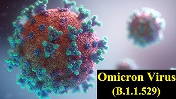 SARS-CoV-2 Omicron variant (B.1.1.529) New Covid Strain , Classified As "Variant Of Concern" By WHO