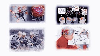 Aportes de la Neurociencias a la educación