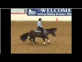 Silver spurs stallions  6 minutes of reining history