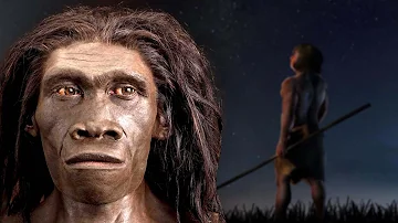 Wie lebten Homo erectus?