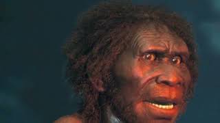 A Brief History Of The Most Successful Human Species: Homo Erectus