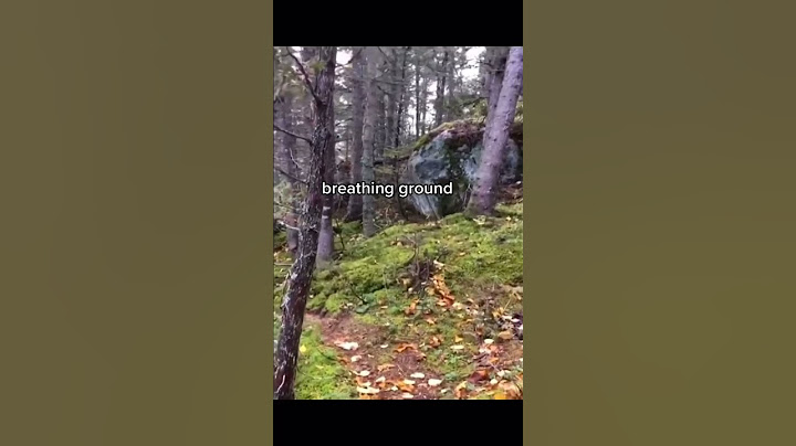 Scariest thing found in deep forest #scary #facts #creepy #bestseatinhouse #greenscreen