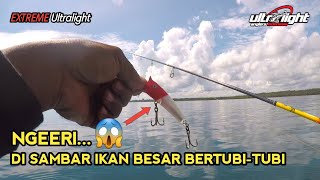 Top Water Mini Popper 9gr Red White Ft. Capung 1-3lb with Ryobi up 800 || Extreme Ultralight Casting