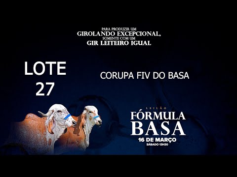 LOTE 27   BASA 1065