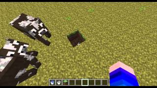 My First Mod Spotlight!