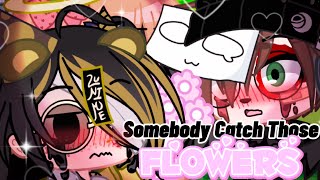 //Somebody Catch Those Flowers! Meme// Chris x Cassidy // inspired //