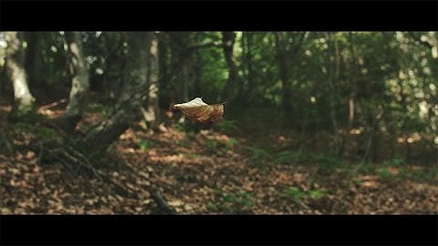 ANT MILL - THRILLING DAYS (Official Video)