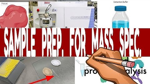 ⚖️ How to PREPARE SAMPLES FOR MASS SPECTROMETRY || Proteomics || Protein Analysis Via Mass Spec