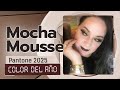 MOCHA MOUSSE 🤎EL COLOR PANTONE DEL 2025 #makeup #mochamousse