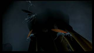 Deadly Creatures Wii Game Chapter 4 The Citadel No Commentary