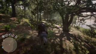 Red Dead 2 on-line