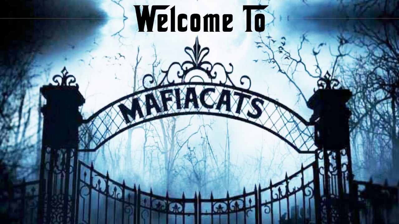 Welcome To Mafiacats