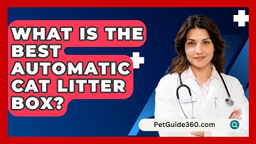 What Is The Best Automatic Cat Litter Box? - PetGuide360.com