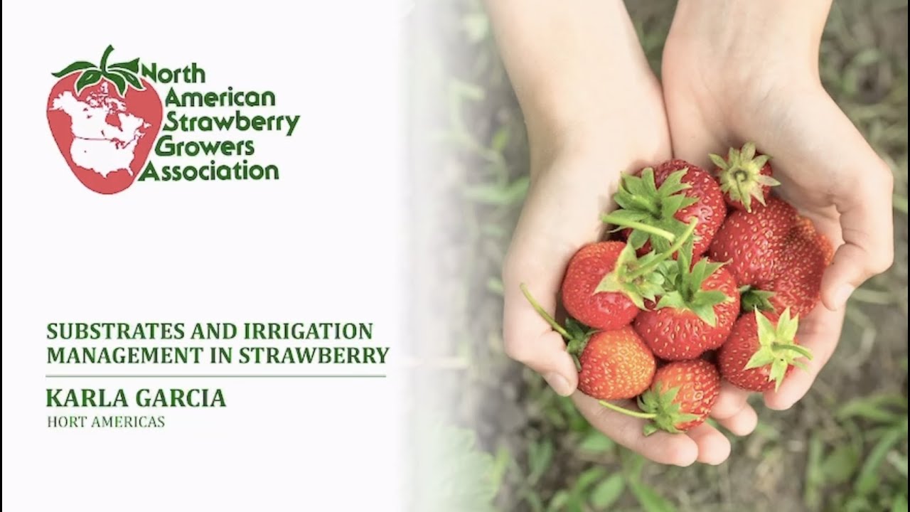 NASGA Conference - Karla Garcia - Substrates and Irrigation Management in Strawberry