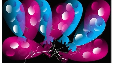 HOW TO MAKE BALLOON COREL DRAW TOTURIALS