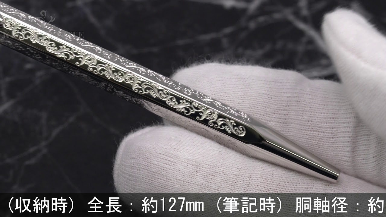 CARAN d'ACHE カランダッシュ ボールペン エクリドール 日本限定 ビクトリアン