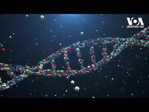 ომის გავლენა გლობალურ ეკონომიკაზე და საინტერესო ტექნოლოგიური სიახლე დნმ-ზე -\"სტუდია ვაშინგტონი\"