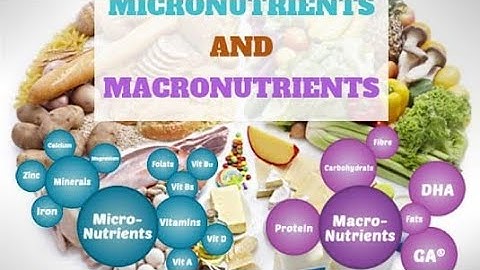 Macro and micro element|nutrition of plant|with trick