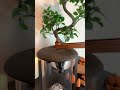 Yoga And Meditation TikTok Viral 2021 ZENDAI邃 Yoga And Meditation TikTok Viral 2021 ZENDAI邃