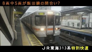 【編成の半数以上飯田線間合い】ＪＲ東海３１３系　特別快速