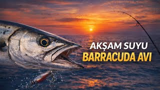 Barracuda Avı Akşam Suyu.