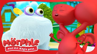 Morphle & The Gobblefrog | Morphle and The Magic Pets | Available on Disney+ and Disney Jr