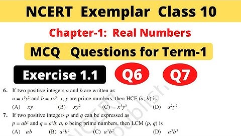 NCERT Exemplar | Class 10 Maths | Chapter 1 Real Numbers | Exercise 1.1 | Question 6,7 | MCQs Term 1