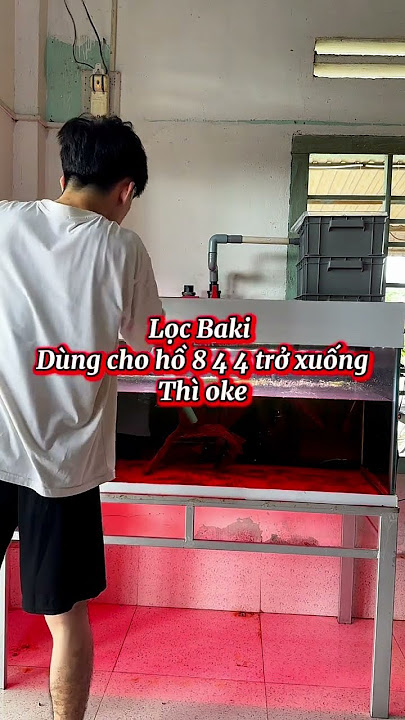 https://vt.tiktok.com/ZSSLAywMK/ #cabaymau #guppy #aquarium #channa #caloc #caloccanh #calocvayrong