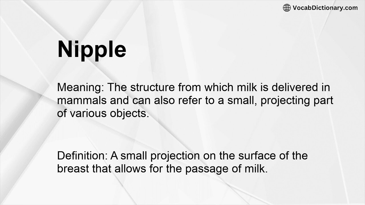 Nipple Meaning