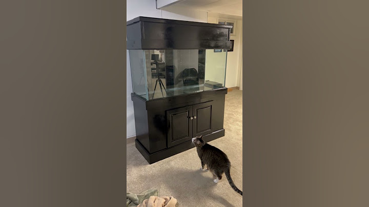 The New 90 Gallon Aquarium Setup!