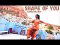 Shape of you carnatic mix  bharatnatyam style   choreographed by ashmi shrimali