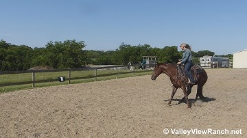 Oh Lessons Learned - bridleless working the flag! - ValleyViewRanch.net