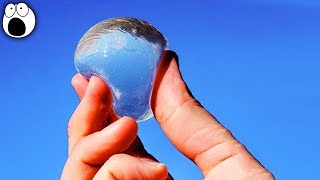 is this the future of food? experts say well be eating these 10 foods by 2050