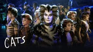 The Trailer for CATS - Released in 1998! | Cats the Musical
