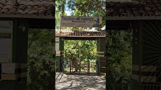 Zoológico De São Francisco Das Chagas