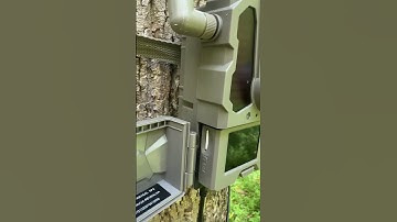 Tactacam Reveal X Pro Trail Camera. #tactacam #hunting #trailcamera