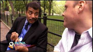 NOVA scienceNOW  | Ask the Astrophysicist