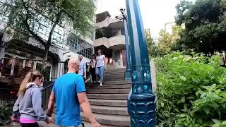 Your Seattle Insider