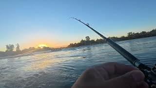 Early salmon season fishing attempt Feather River