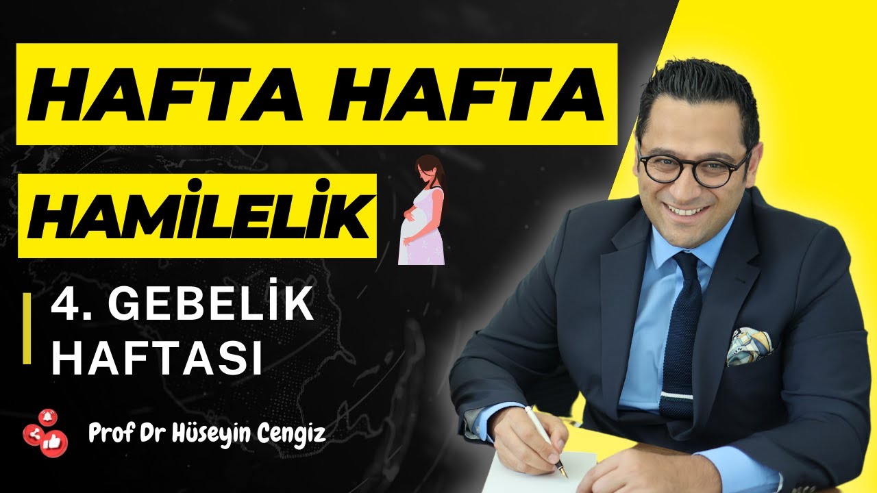 4 HAFTA GEBELİK (hafta hafta gebelik, gebeliğin 4. haftasında hem bebekte hem annede neler oluyor?)