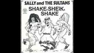 Sally and The Sultans - Shake, Sheik, Shake (The Arab Hustle) Part 1 (1977)