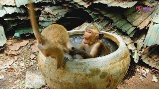 According to hot season! Smart little Jack get bath in Jar, Jack wanna little Timo get bath wtih him