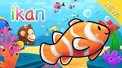 Lagu Anak Indonesia | Ikan - Durasi: 3:22. Lagu Anak Indonesia | Ikan - Durasi: 3:22.