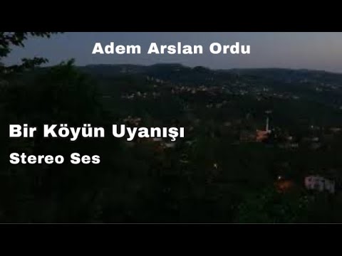 Köyde Sabahın İlk Saatleri Kuş Cıvıltıları Sonrasında Köyden Gelen Sesler 4K Çekim