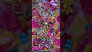 Mujko 🧞♂️🧞♂️kanha 😘😘ka Bulawa aaaya 🤝🤝👏👏hai tb hi man ko Vrindavan🛕🛕 bhaya hai