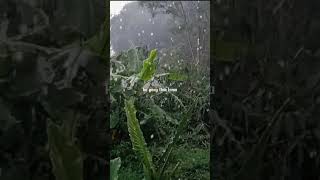 Download Lagu Story' wa Tampar - juicy luicy #juicyluicy #tampar #short #hujan samarkan derasnya tutup airmata MP3