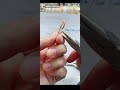 Pendant Tutorial | Freeform Wire Wrapped Design