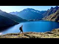 Hiking the routeburn great walk in new zealand